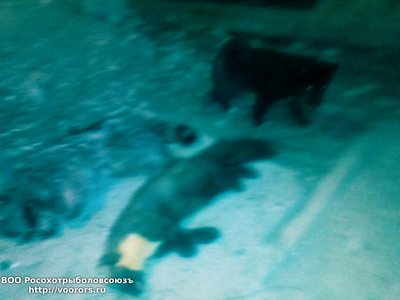 IMG_20160219_230046.jpg