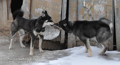 DSC_0083.JPG