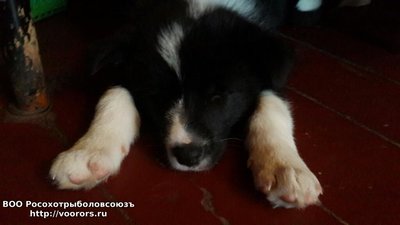 PicsArt_1456161361597.jpg