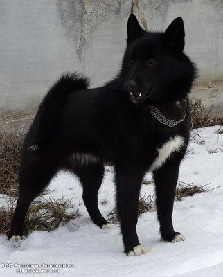 20150307_122932.jpg