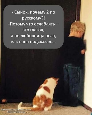осла блять.jpg
