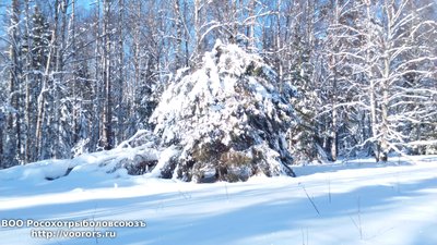 DSC_0006.JPG