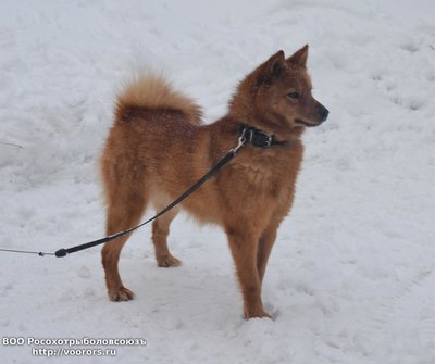 DSC_5918.JPG