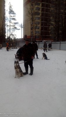 IMG_20160227_115122.jpg