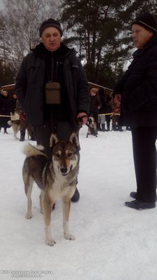 IMG_20160227_115241.jpg