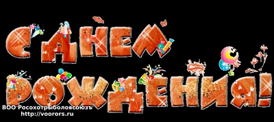 13386670.png