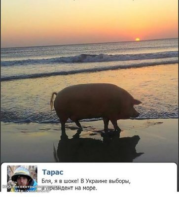 президент.jpg