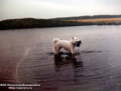 фото архив ЗСЛ Ева  СССР 1992 г..jpg