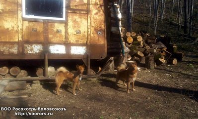 IMG-20160310-WA0036.jpg