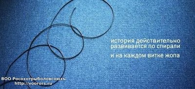 891909_0.jpg