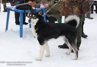 IMG_7911.JPG