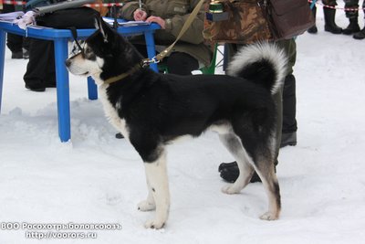 IMG_7914.JPG
