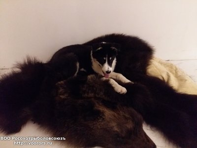 20160225_201036.jpg