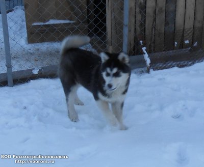 DSCN1124.JPG