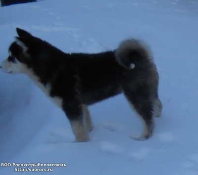 DSCN1132.JPG