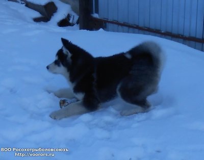 DSCN1153.JPG