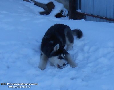 DSCN1163.JPG