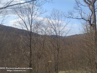 IMG_20160322_121756.jpg