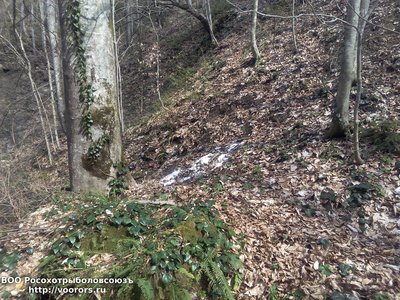IMG_20160322_114324.jpg