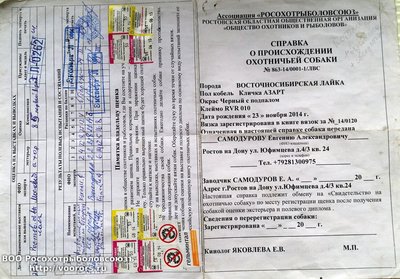 20160326_153258.jpg