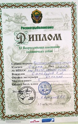 20160401_144348.jpg