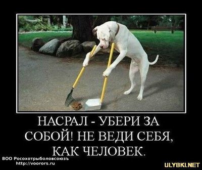 nasral_-_uberi_za_soboj_20110801104935.jpg
