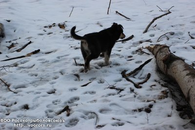 IMG_0254.JPG