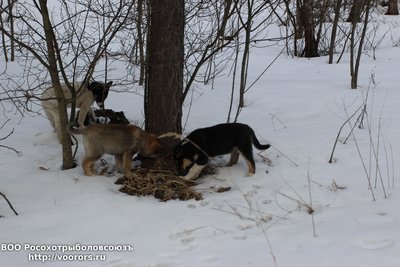IMG_0219.JPG
