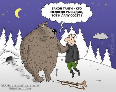 лапу сосет.jpg