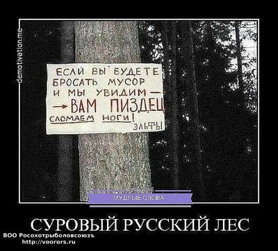 эльфы.jpg