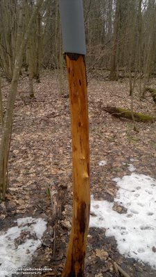 2016-04-09-823.jpg