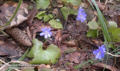 2016-04-09-821.jpg