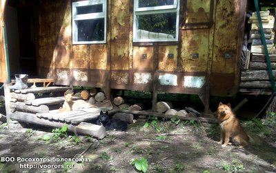 IMG_20160423_140131.jpg
