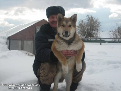 Изображение 022.jpg