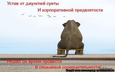 ghtldp.jpg