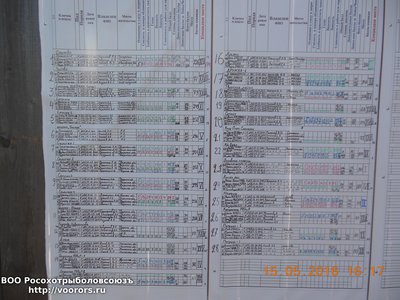 DSCN3913.JPG