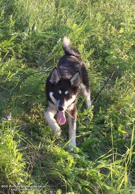 20160517_210644.jpg
