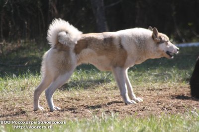 IMG_5419.JPG