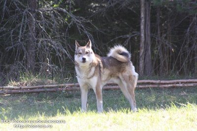 IMG_5655.JPG