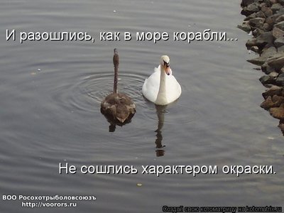 991475.jpg