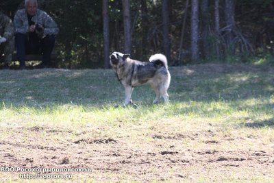 IMG_5650.JPG