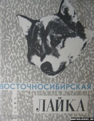 Амурская лайка (титул) ГЕЙЦ.jpg