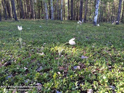 IMG-20160529-WA0014.jpg