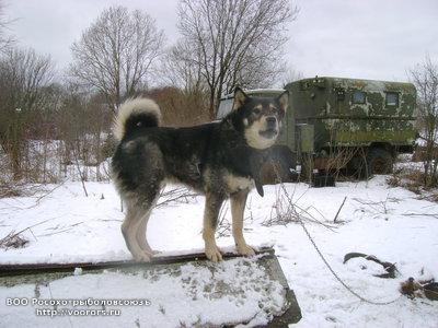 Якут.jpg