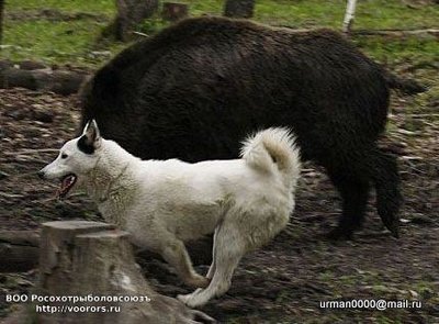 дара 11 (1).jpg