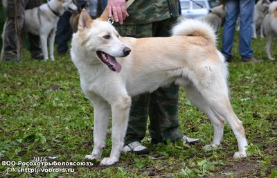 всл Пират Вологодская обл 3.jpg