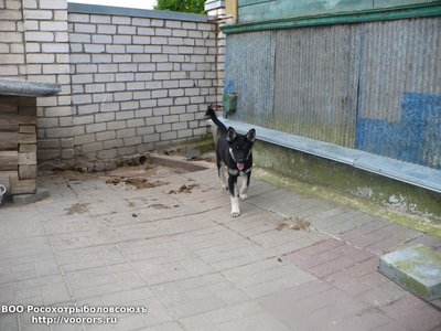 106.JPG