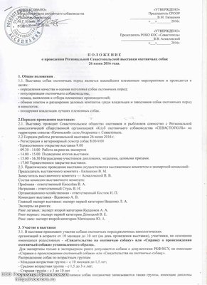 выставка 16.jpg