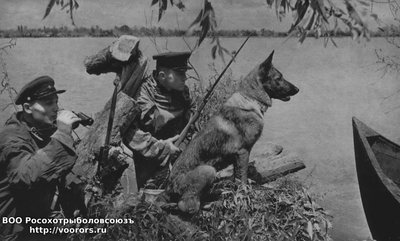 1304932982_vov6.jpg