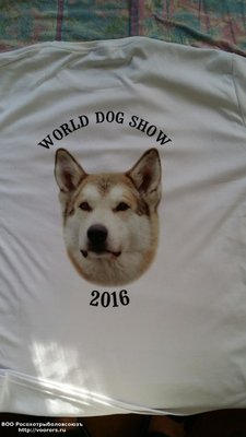 20160622_194518.jpg